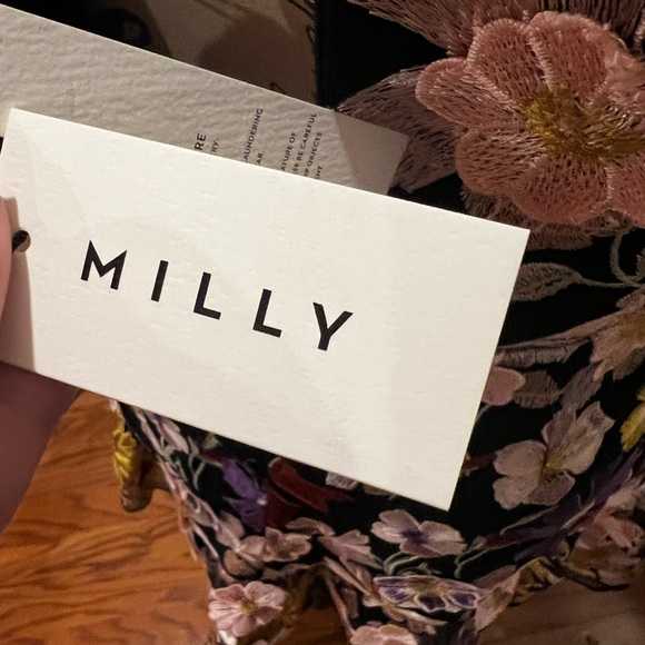 NWT Gorgeous Milly Embroidery Dress - Picture 7 of 7